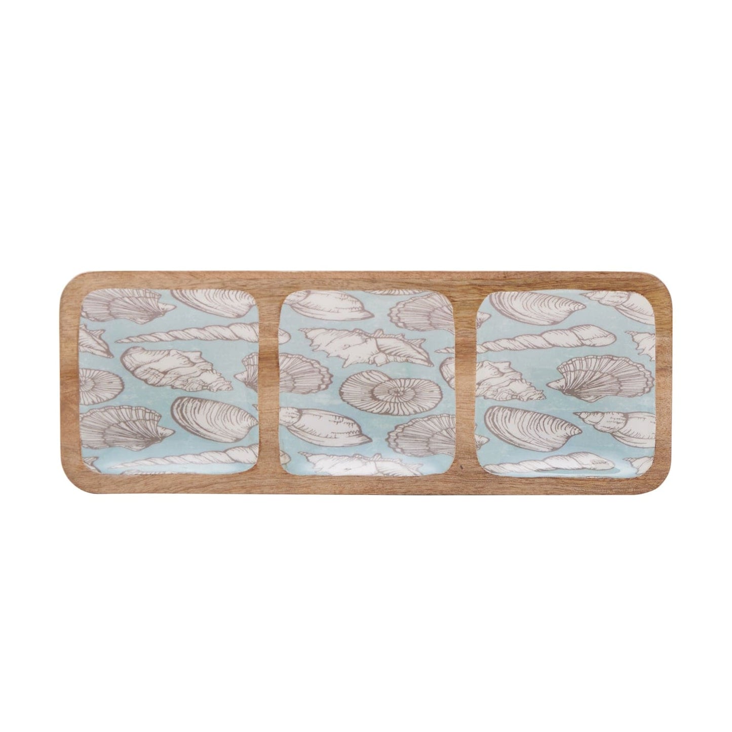 Indra Shells Dish 3 Section 15X5.5 Inches