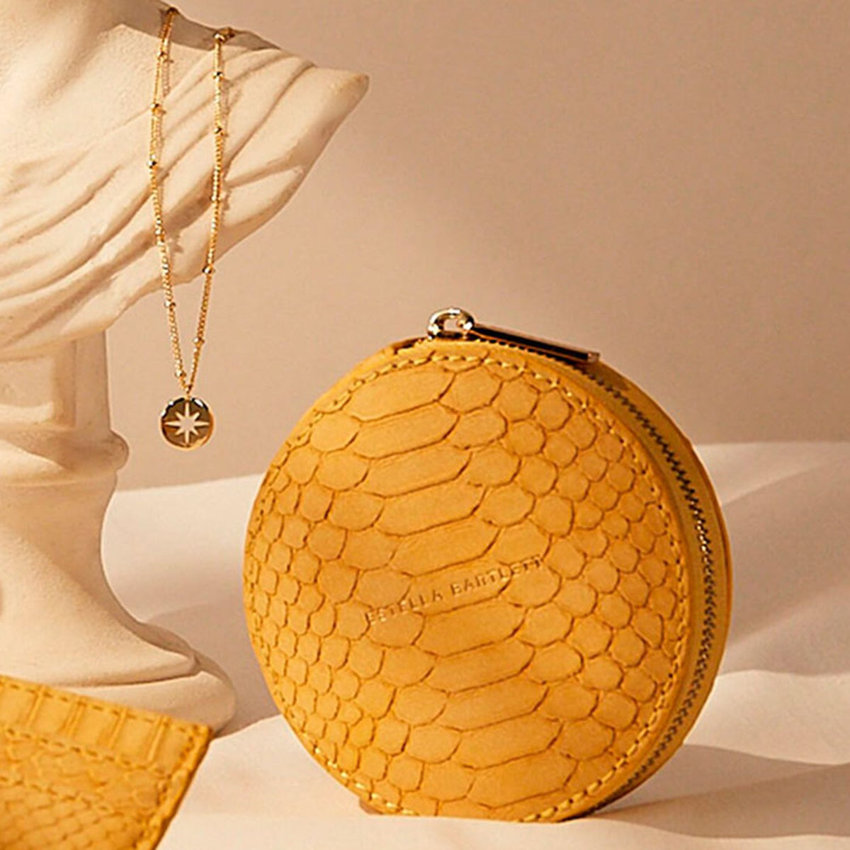 Estella Bartlett Circle Coin Purse - Mustard Snake - Ebp3623