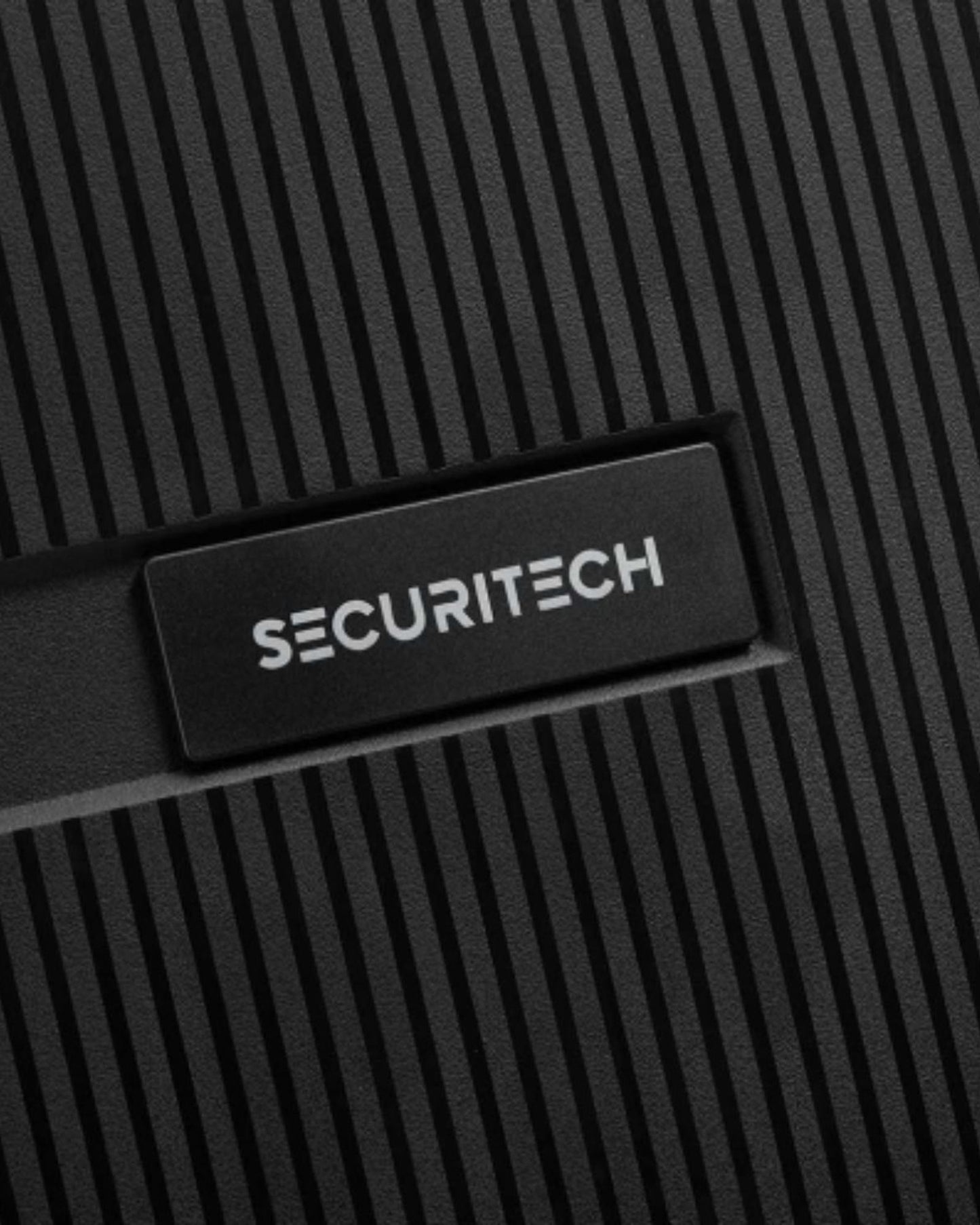 Delsey Paris Securitech Stone Luggage