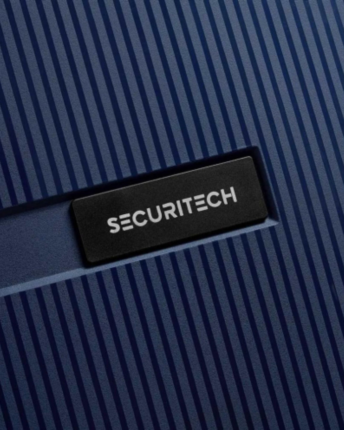 Delsey Paris Securitech Stone Luggage