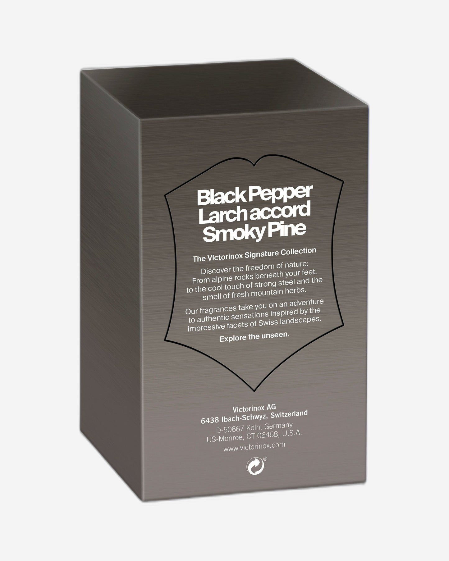 Victorinox Black Steel For Him EDT 100ml
