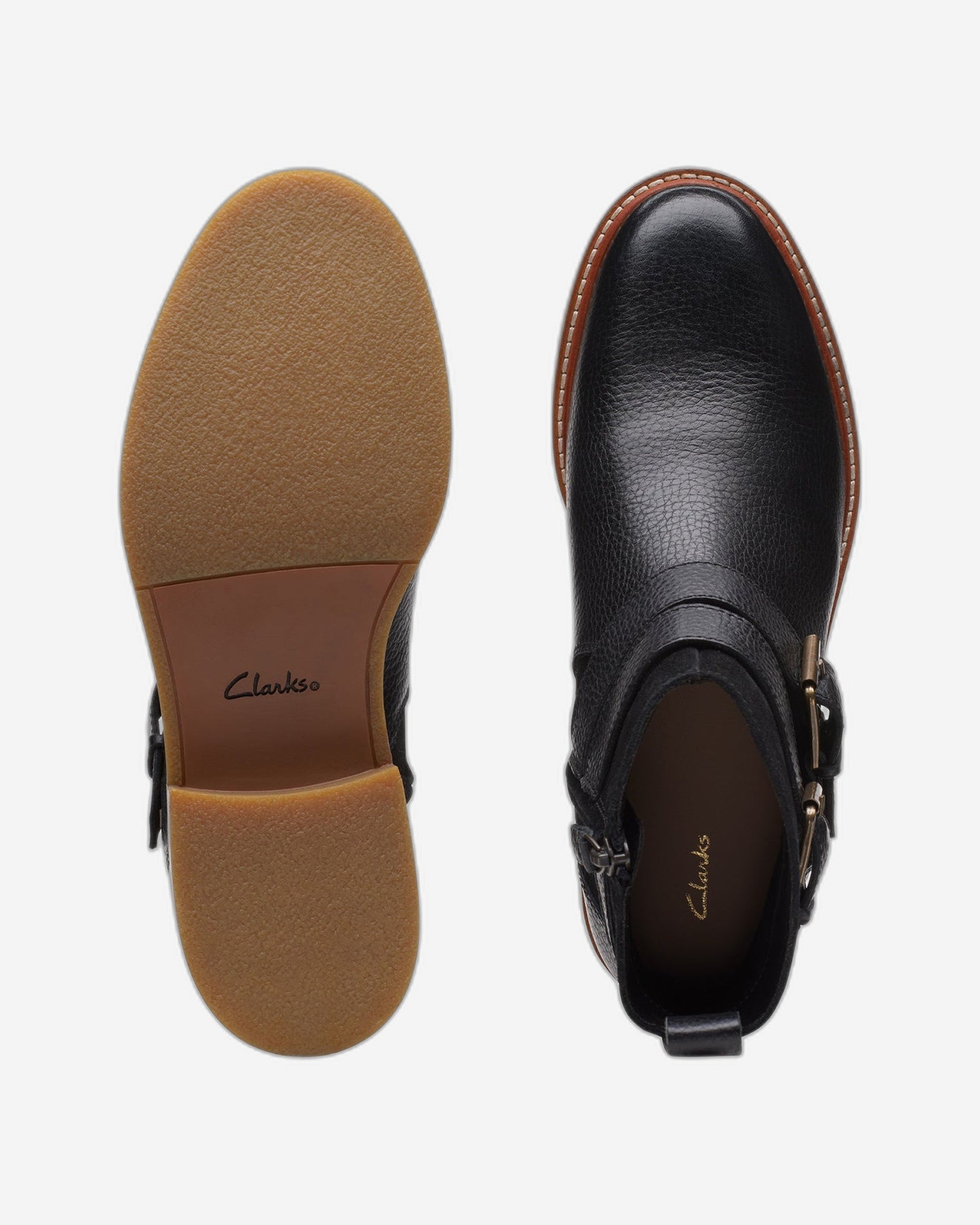 Clarks Cologne Buckle (Standard Fit)