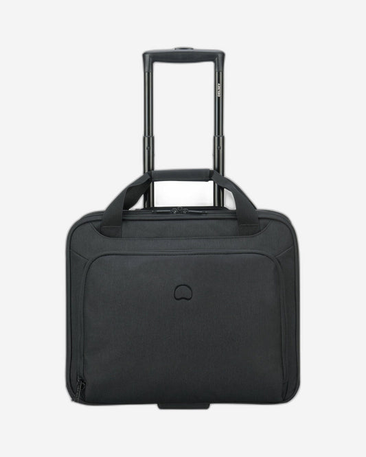 Delsey Paris Esplanade Luggage