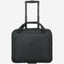Delsey Paris Esplanade Luggage