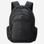 Delsey Paris Element Flier Backpack