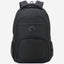 Delsey Paris Element Aviator Backpack