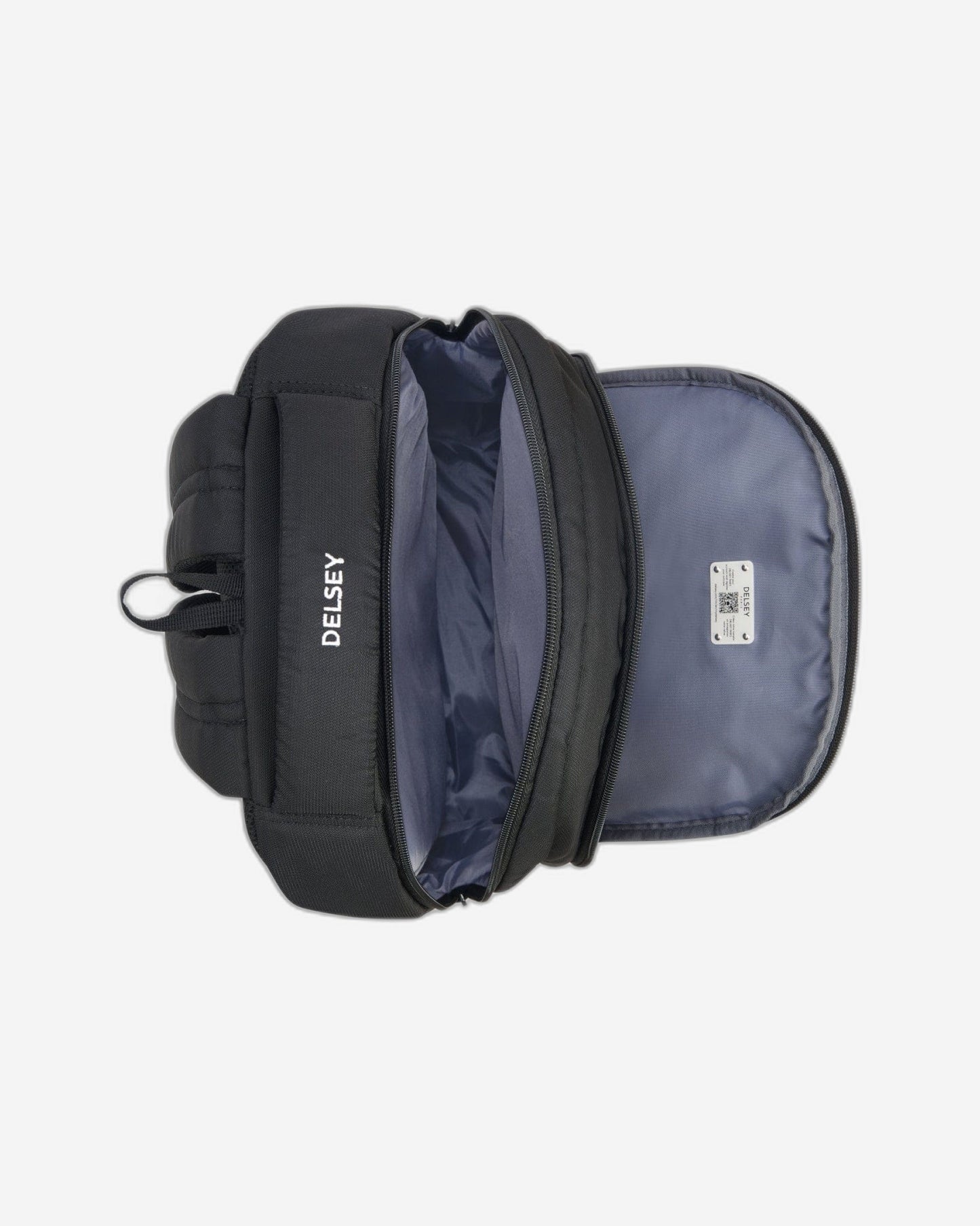 Delsey Paris Element Aviator Backpack