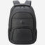 Delsey Paris Element Aviator 15.6