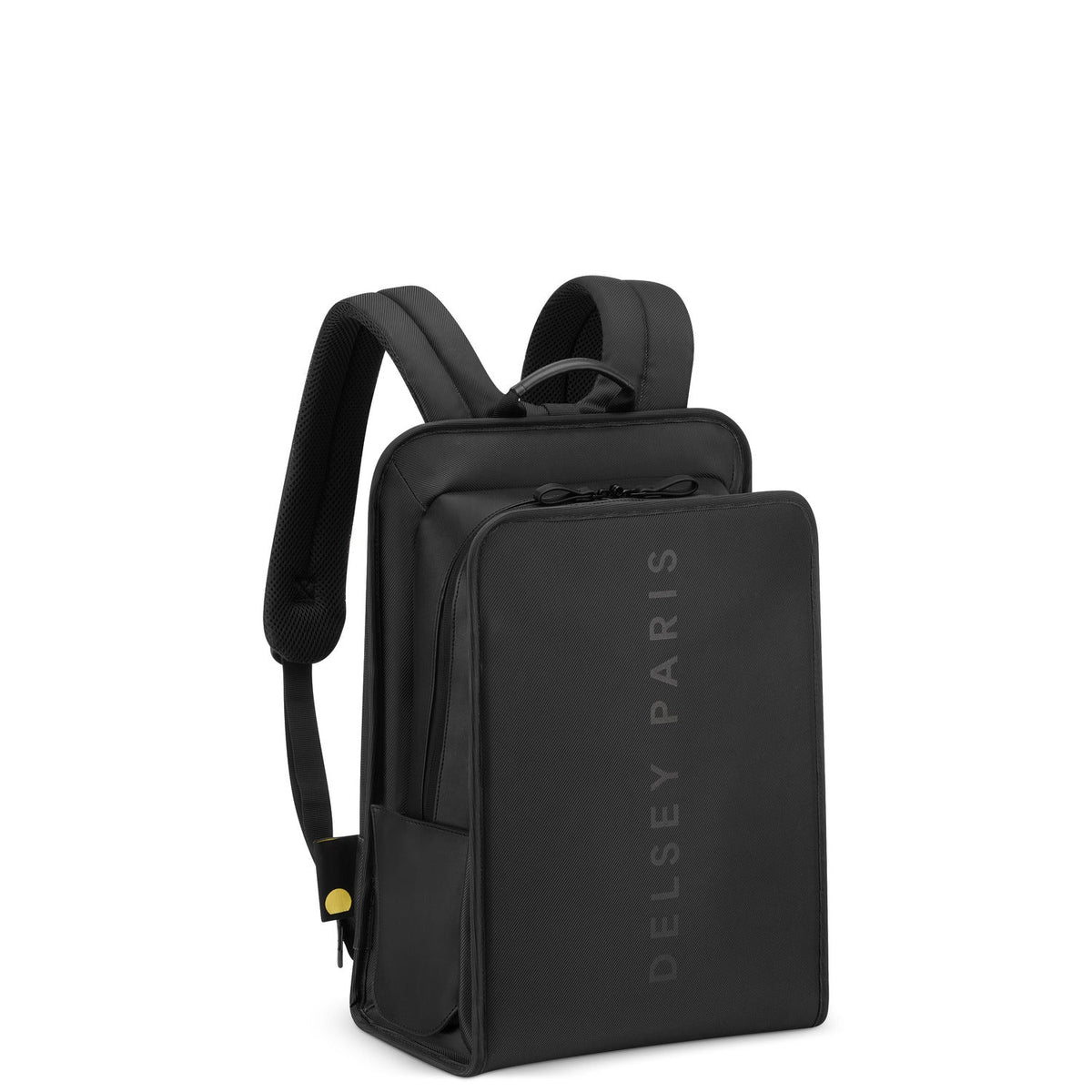 Delsey Paris Arche 2 Backpack