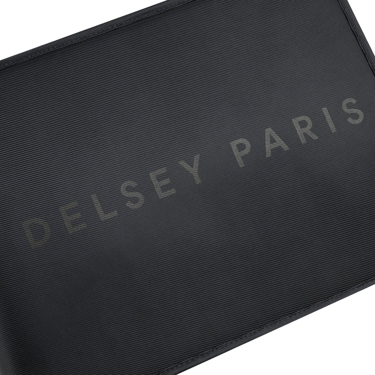 Delsey Paris Arche 2 Backpack