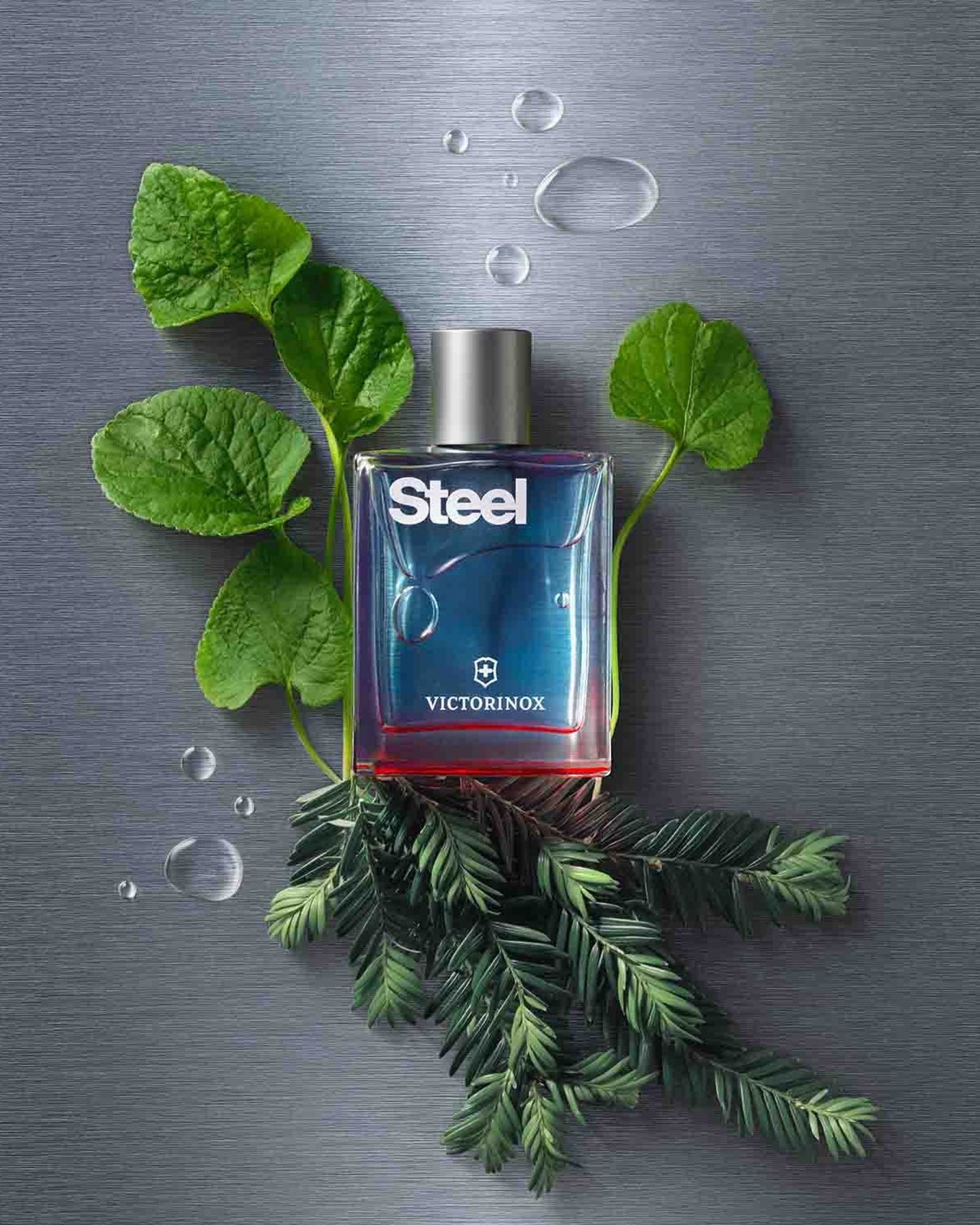 Victorinox Steel For Him EDT 100ml