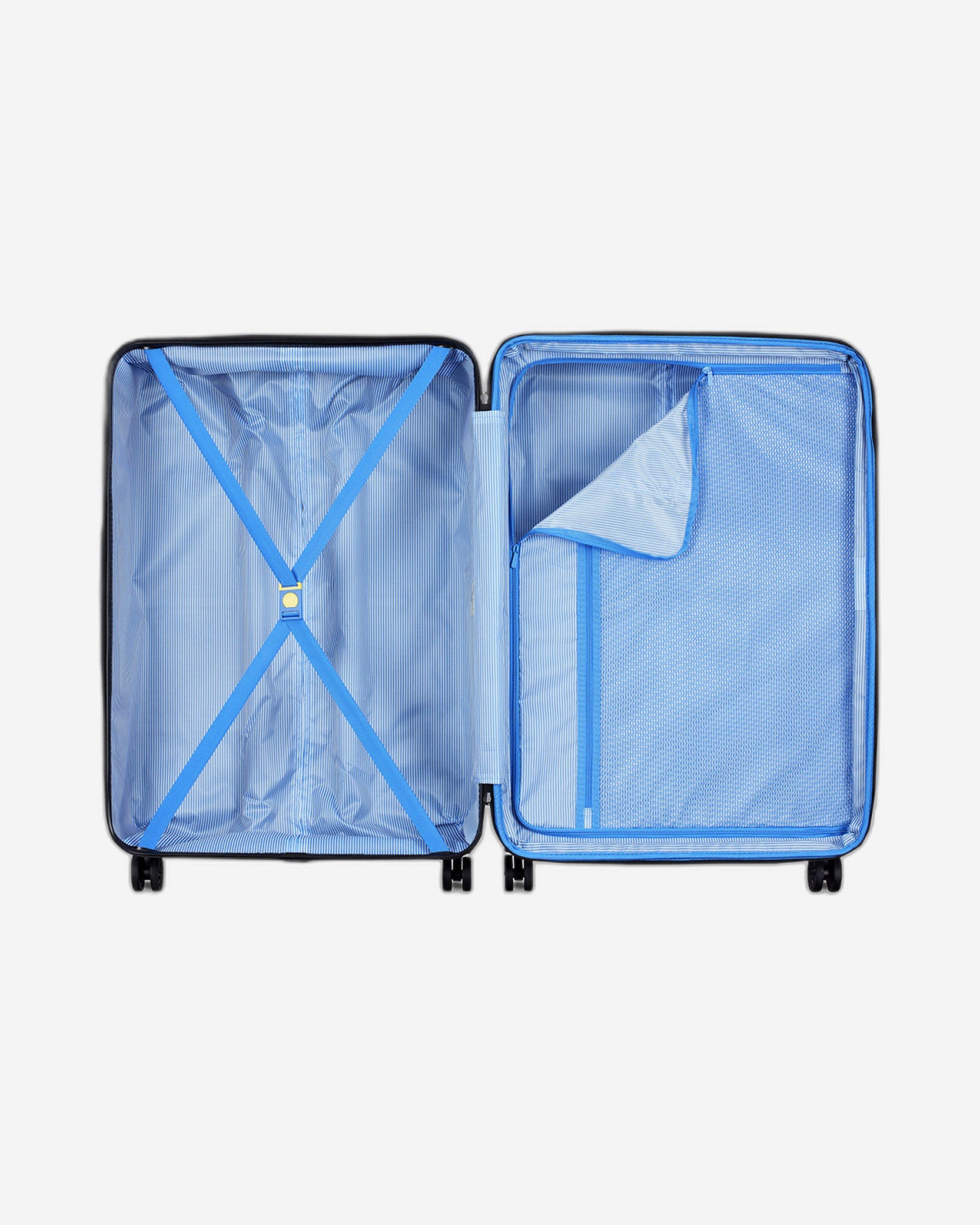 Delsey Paris Camelia Luggage