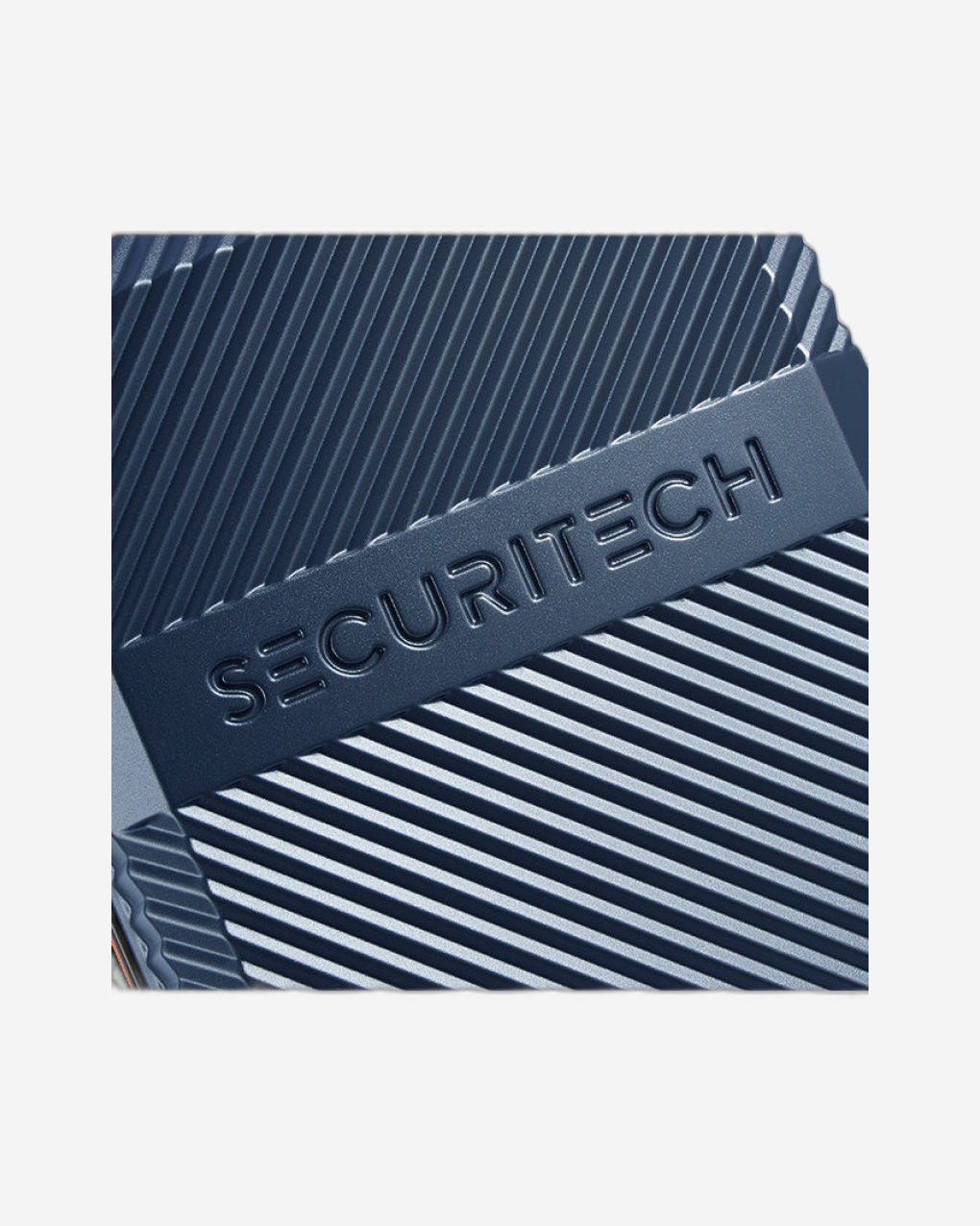 Delsey Paris Securitech Patrol Luggage
