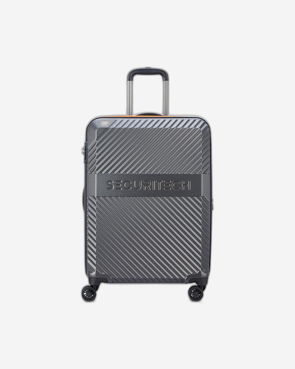Delsey Paris Securitech Patrol Luggage