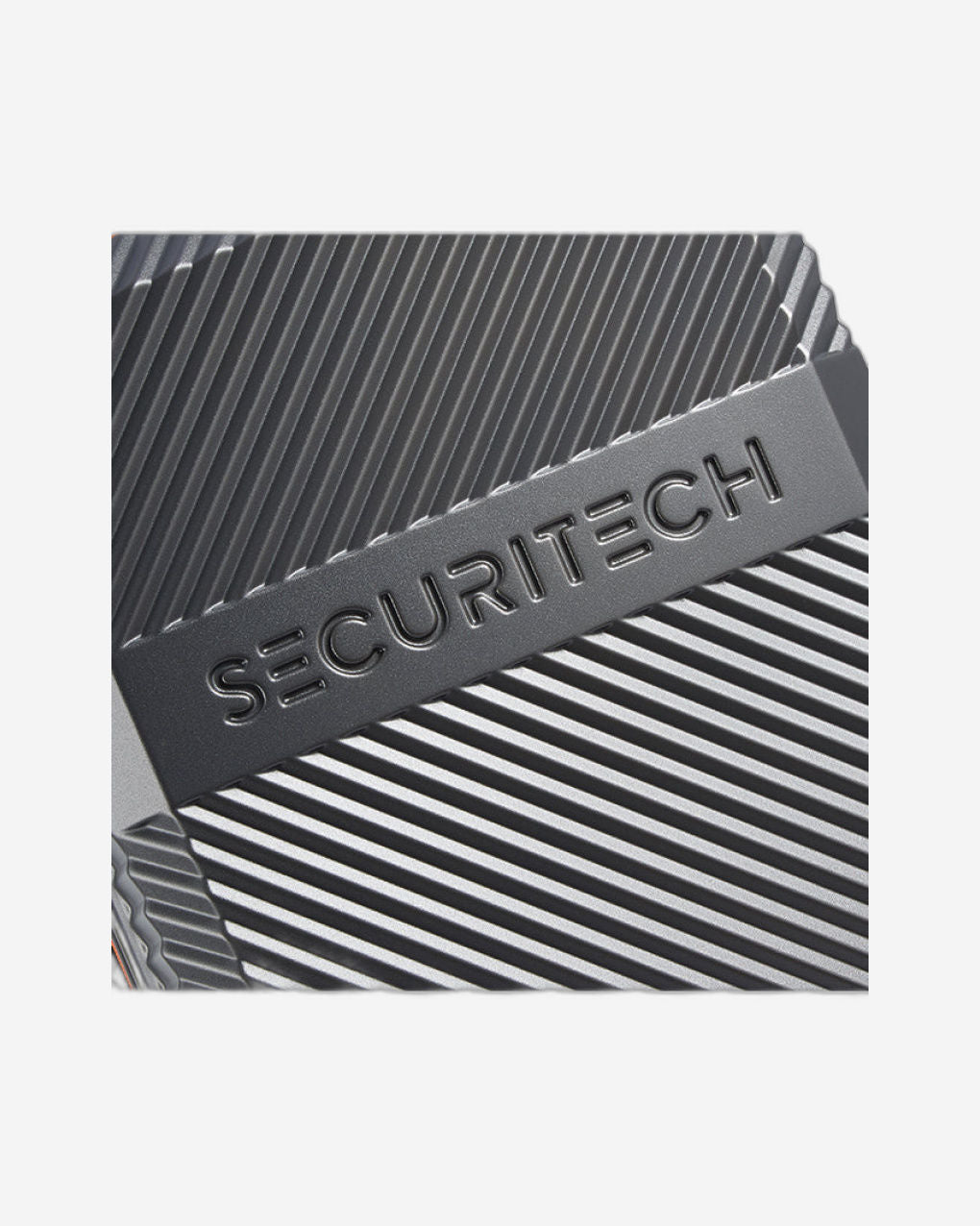 Delsey Paris Securitech Patrol Luggage