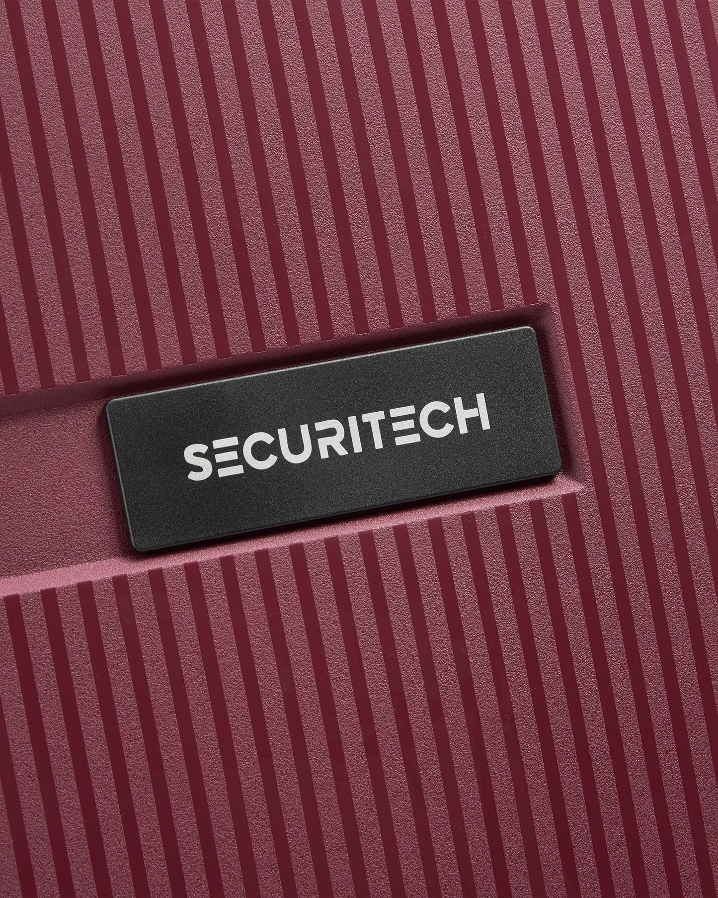 Delsey Paris Securitech Stone Luggage