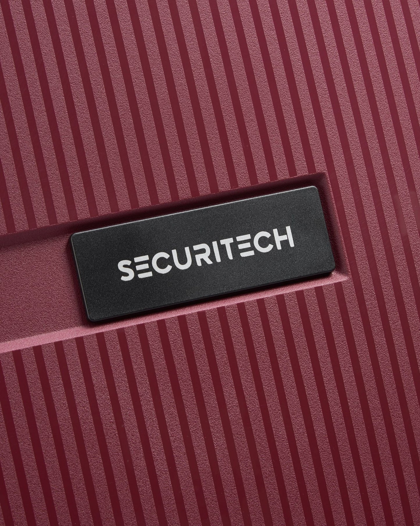 Delsey Paris Securitech Stone Luggage