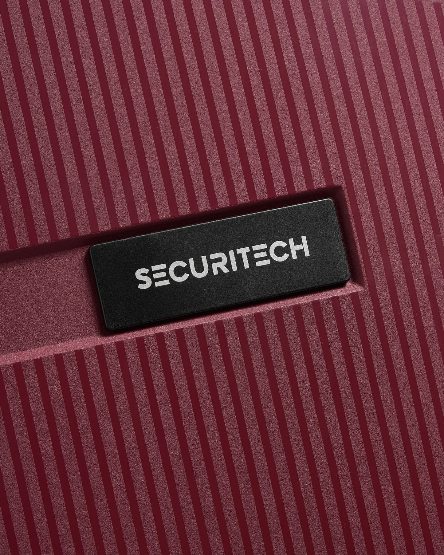 Delsey Paris Securitech Stone Luggage