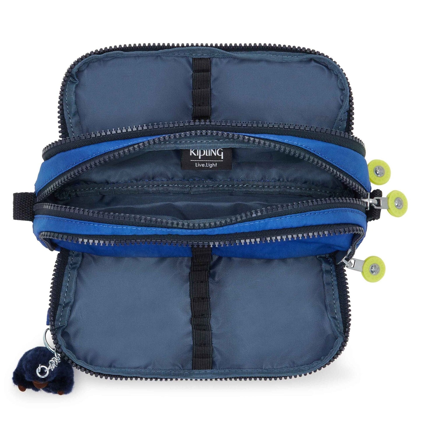 Gitroy Blue Ink C