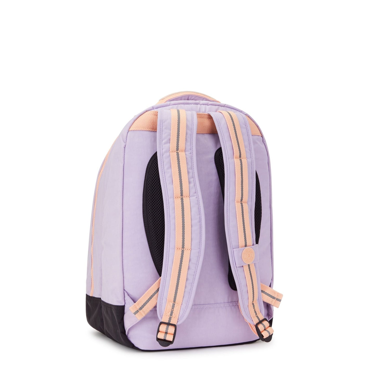 Class Room Endless Lilac C
