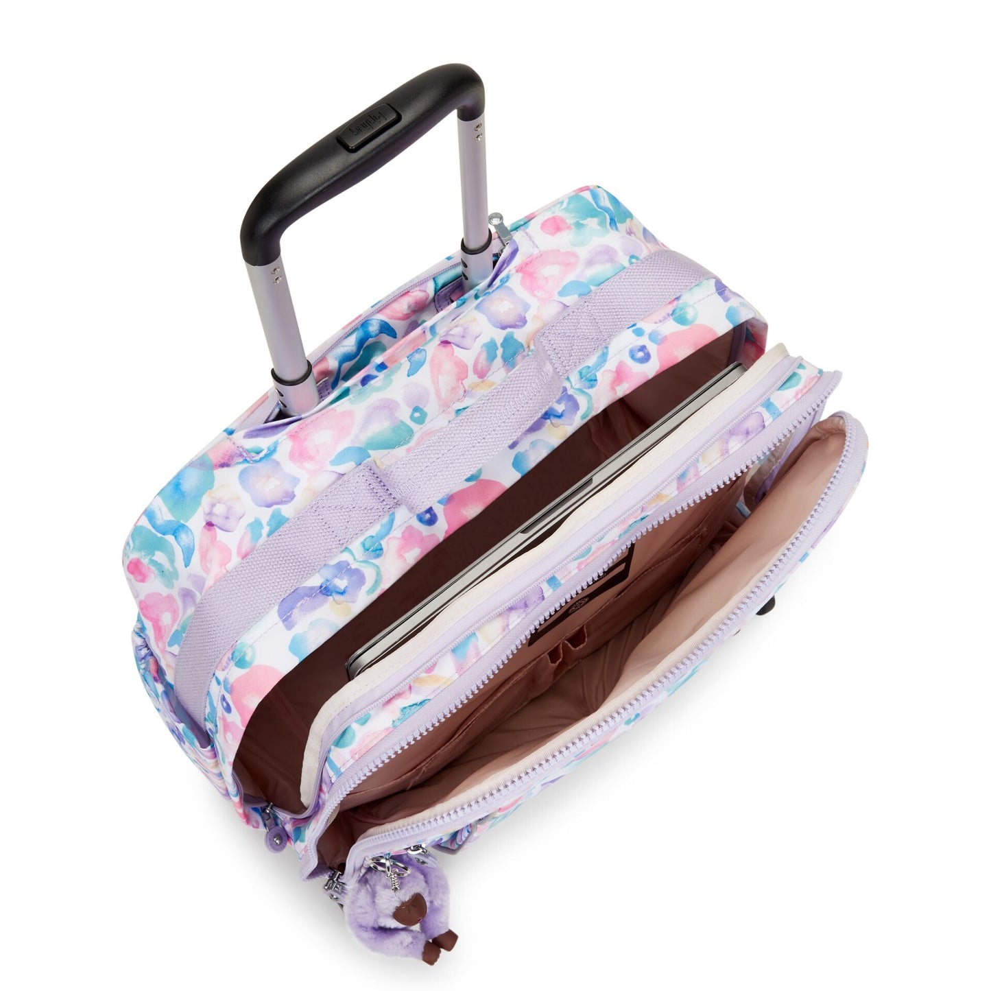 New Storia Aqua Flowers