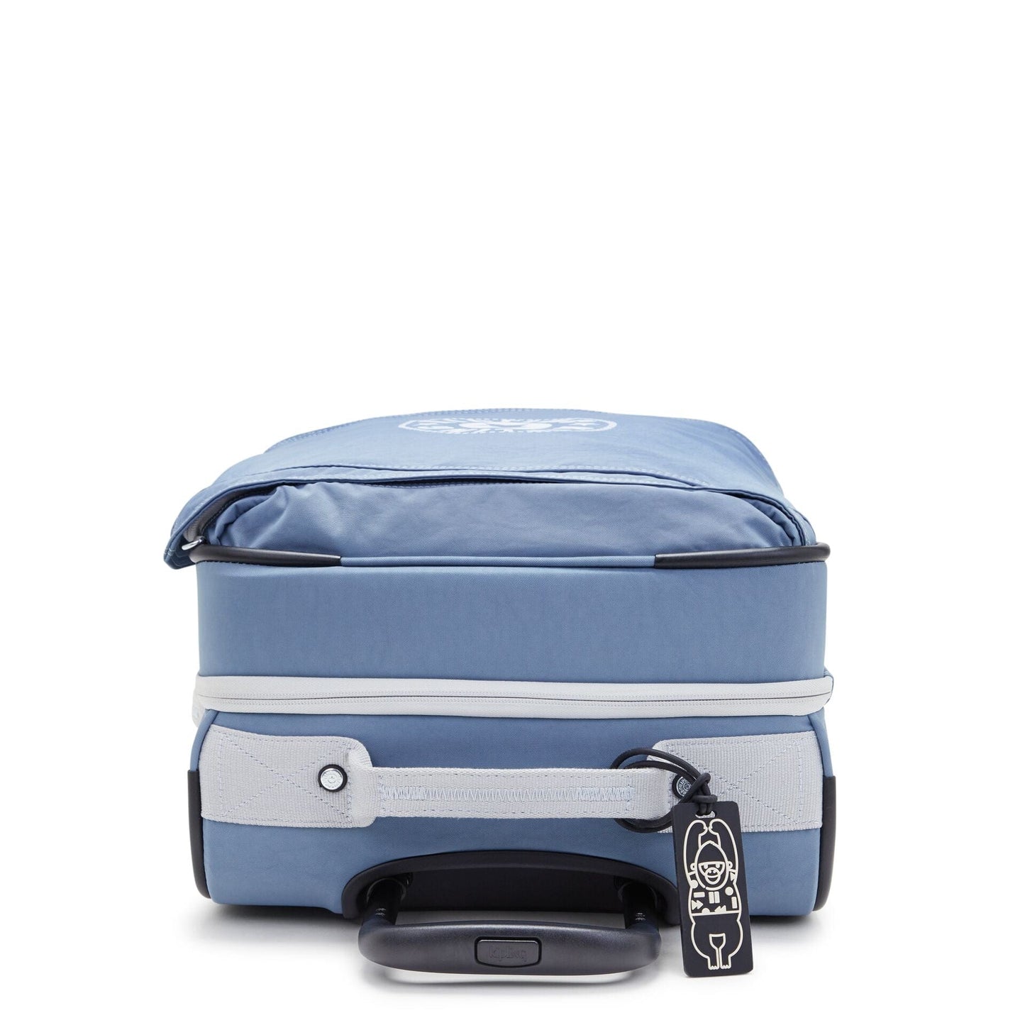 Spontaneous S Brush Blue C