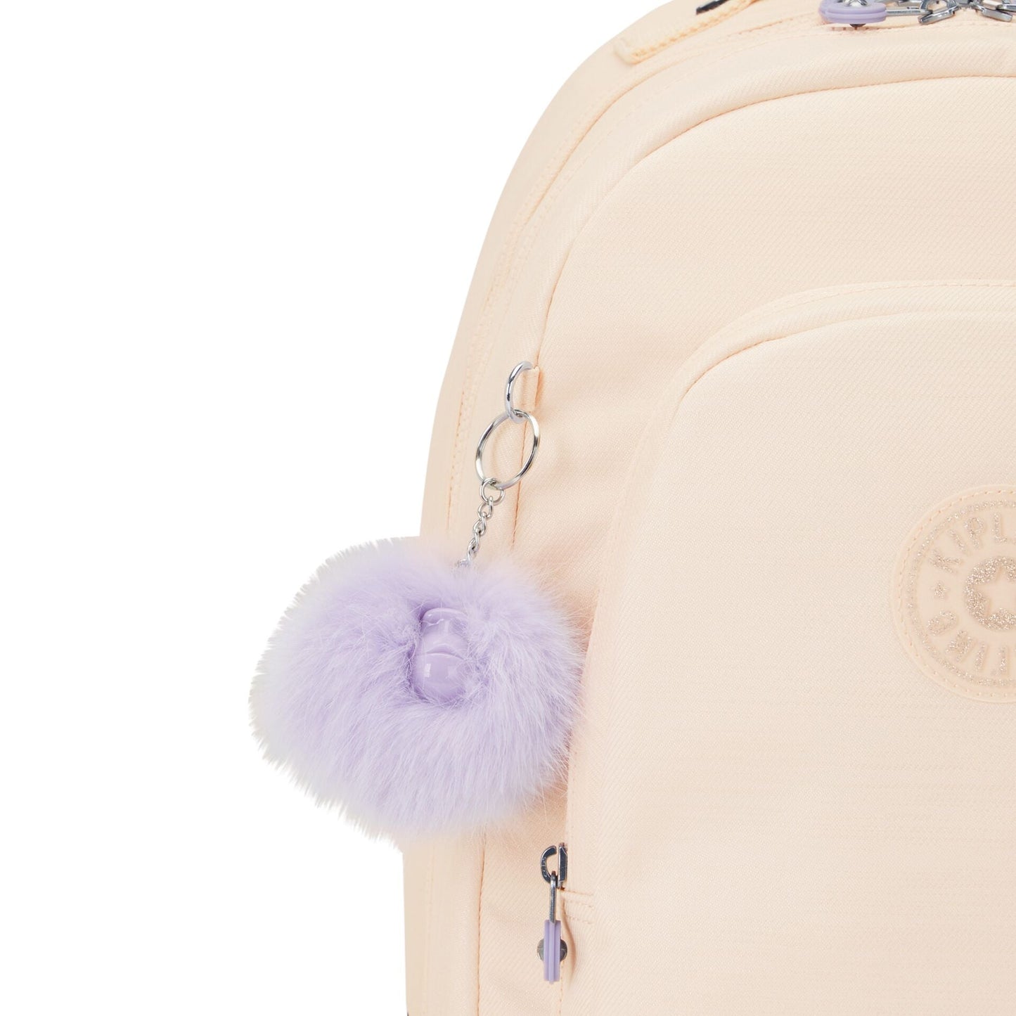 Class Room Tender Blossom