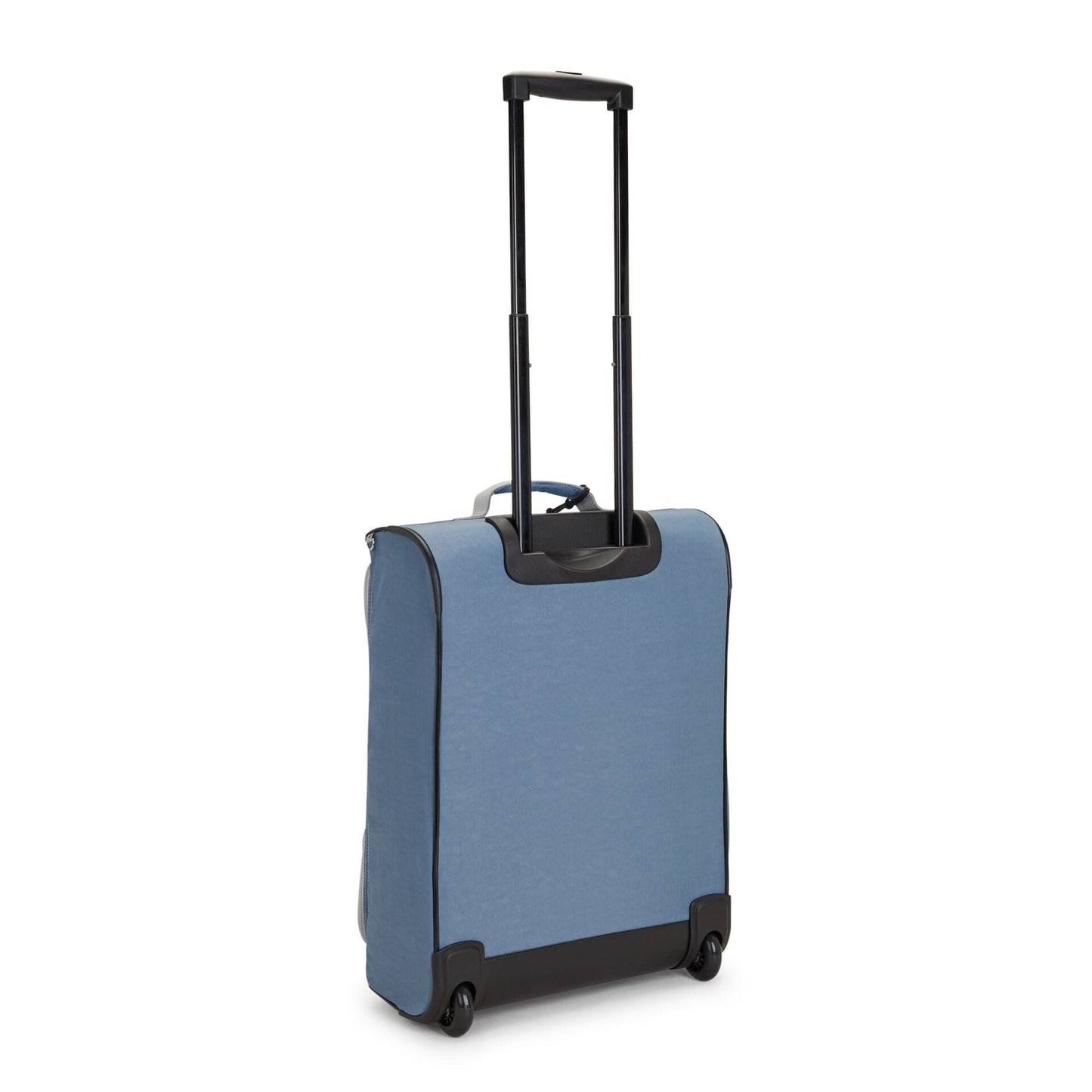 Teagan C Brush Blue C