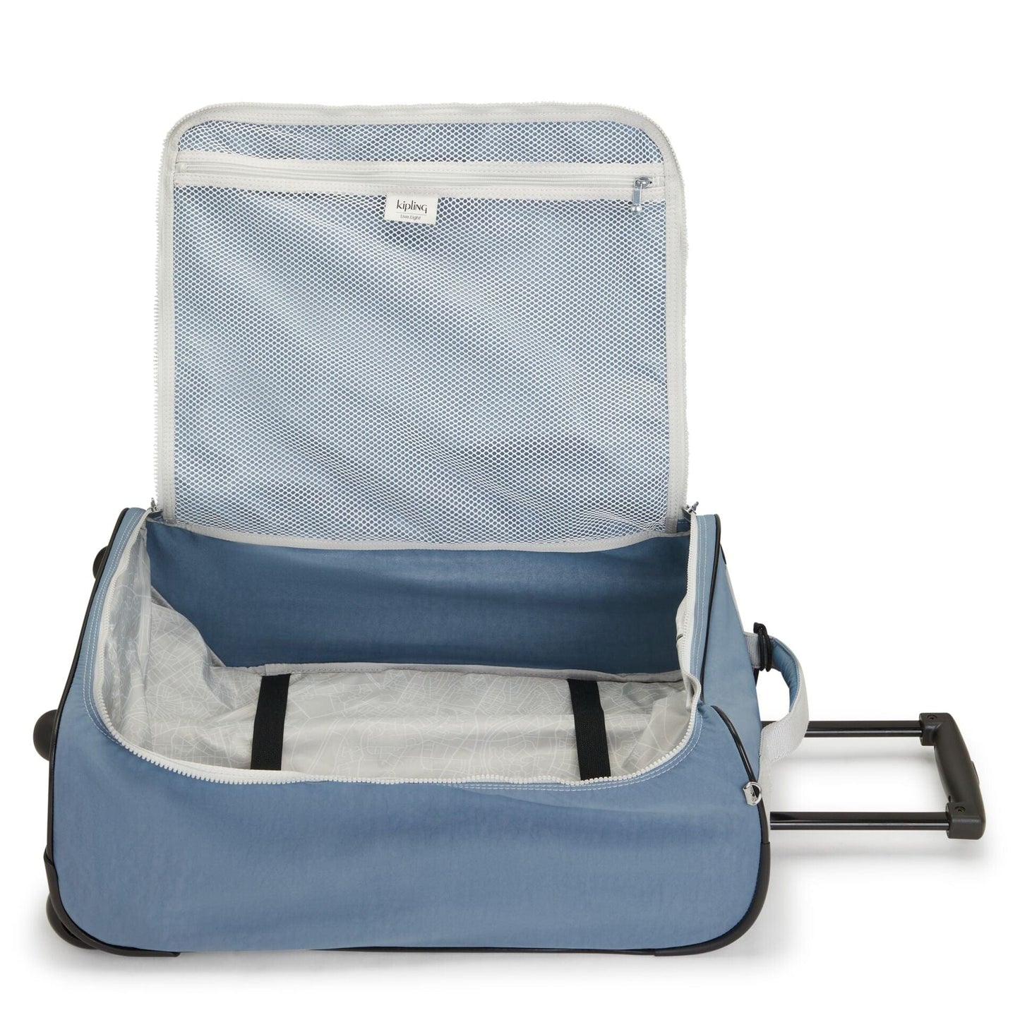 Teagan C Brush Blue C