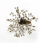 Arvd Beaded Napkin Ring Dust Gold