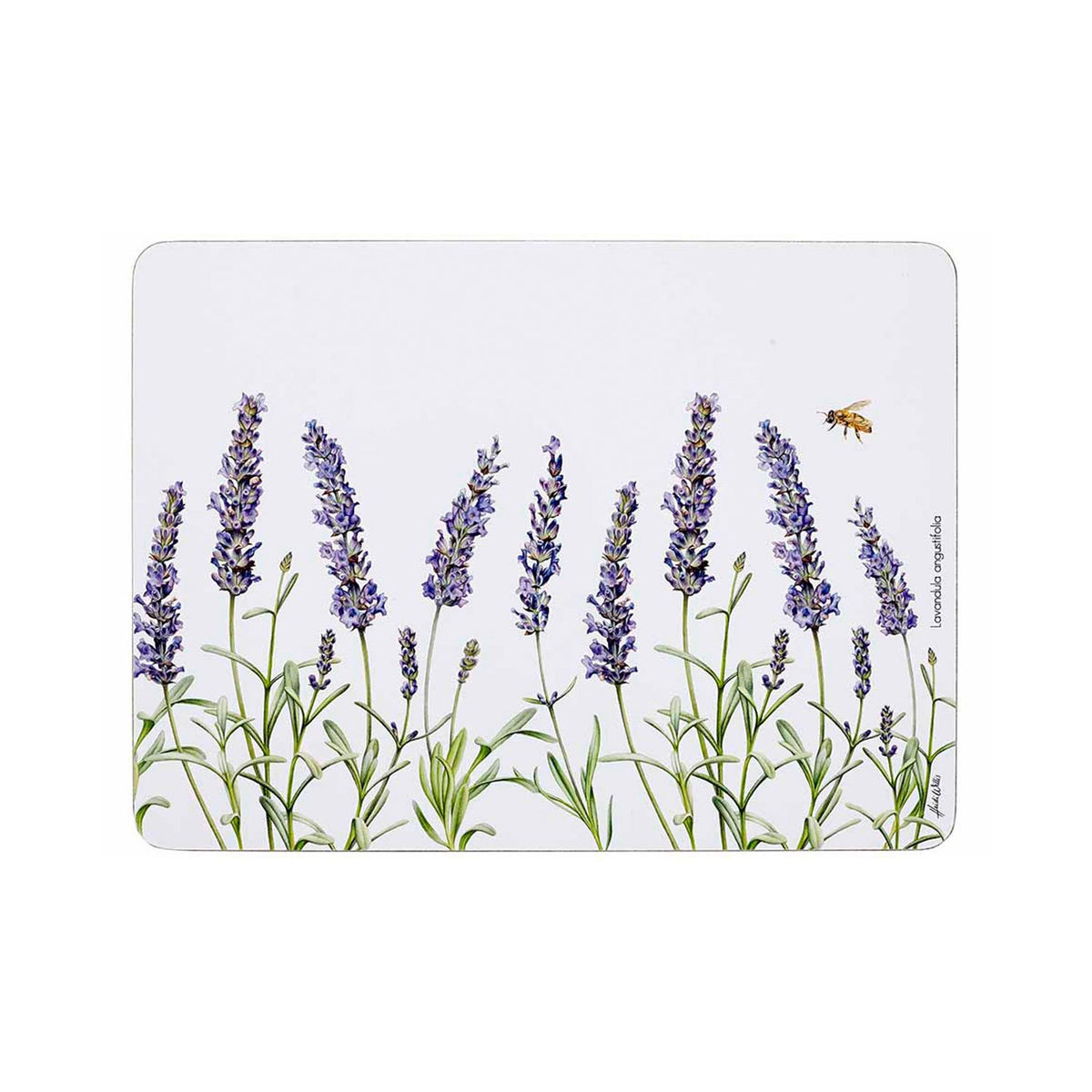 ASHDENE LAVENDER FIELDS 4PK PLACEMAT - 519022