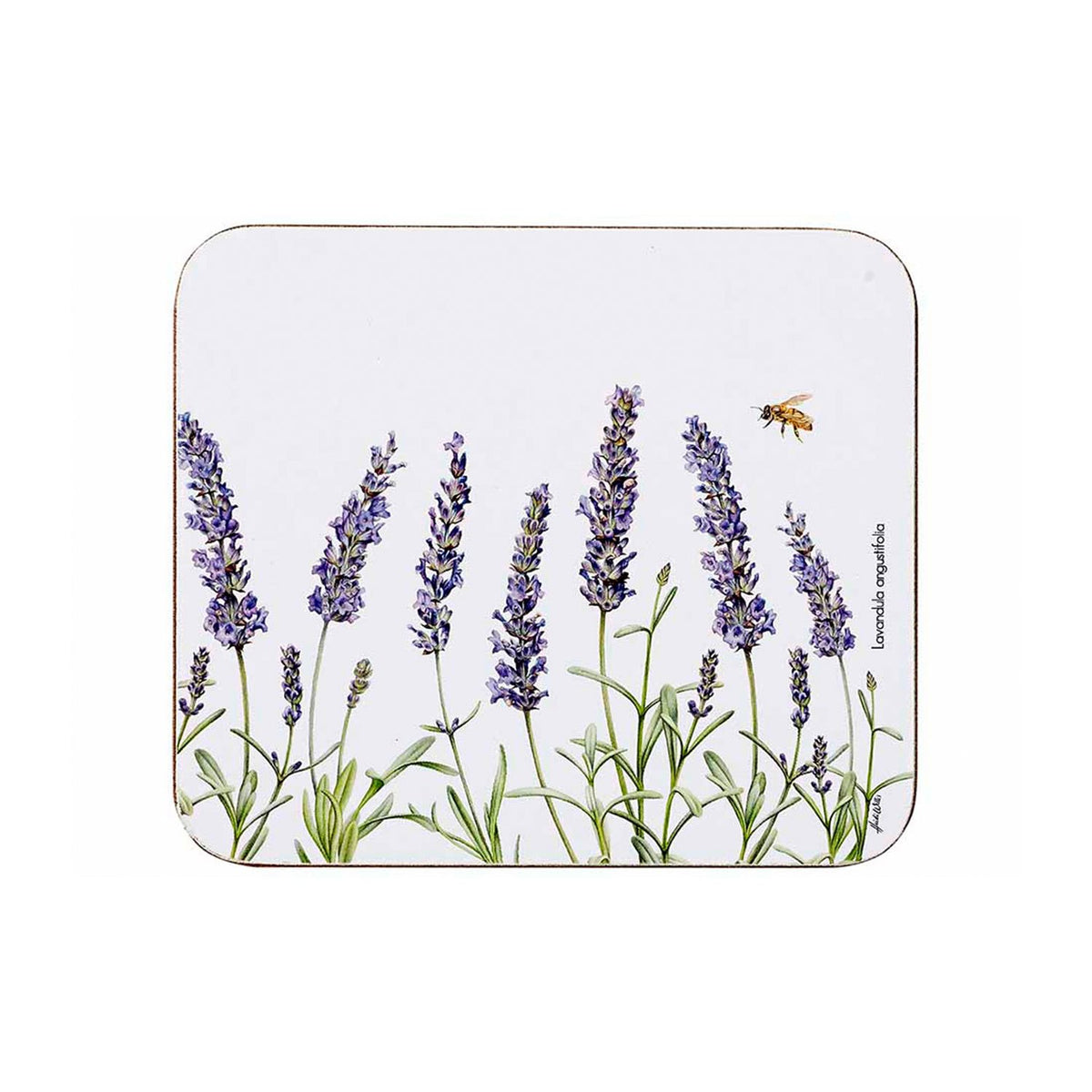 ASHDENE LAVENDER FIELDS 4PK COASTER - 519023