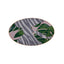 Africa Design2 Oval Plate 32Cm - 04Alm005834