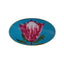 Africa Design5 Oval Plate 32Cm - 04Alm005846