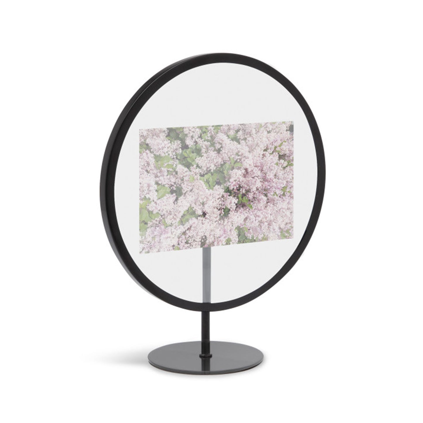 UMBRA INFINITY ROUND PICTURE FRAME 4X6 BLACK - 1012271-040