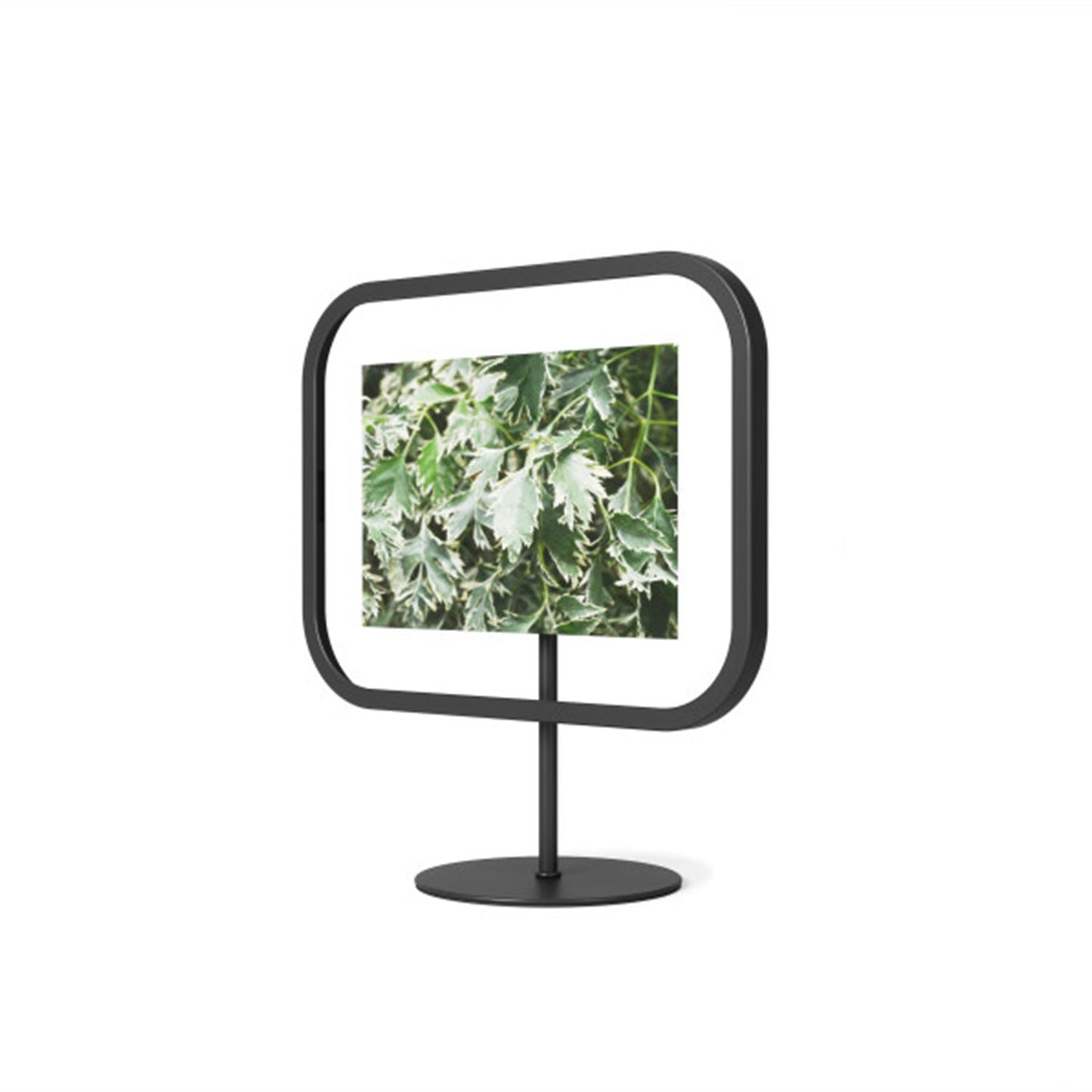 Umbra Infinity Sqround Picture Frame 4X6 Black - 1012269-040