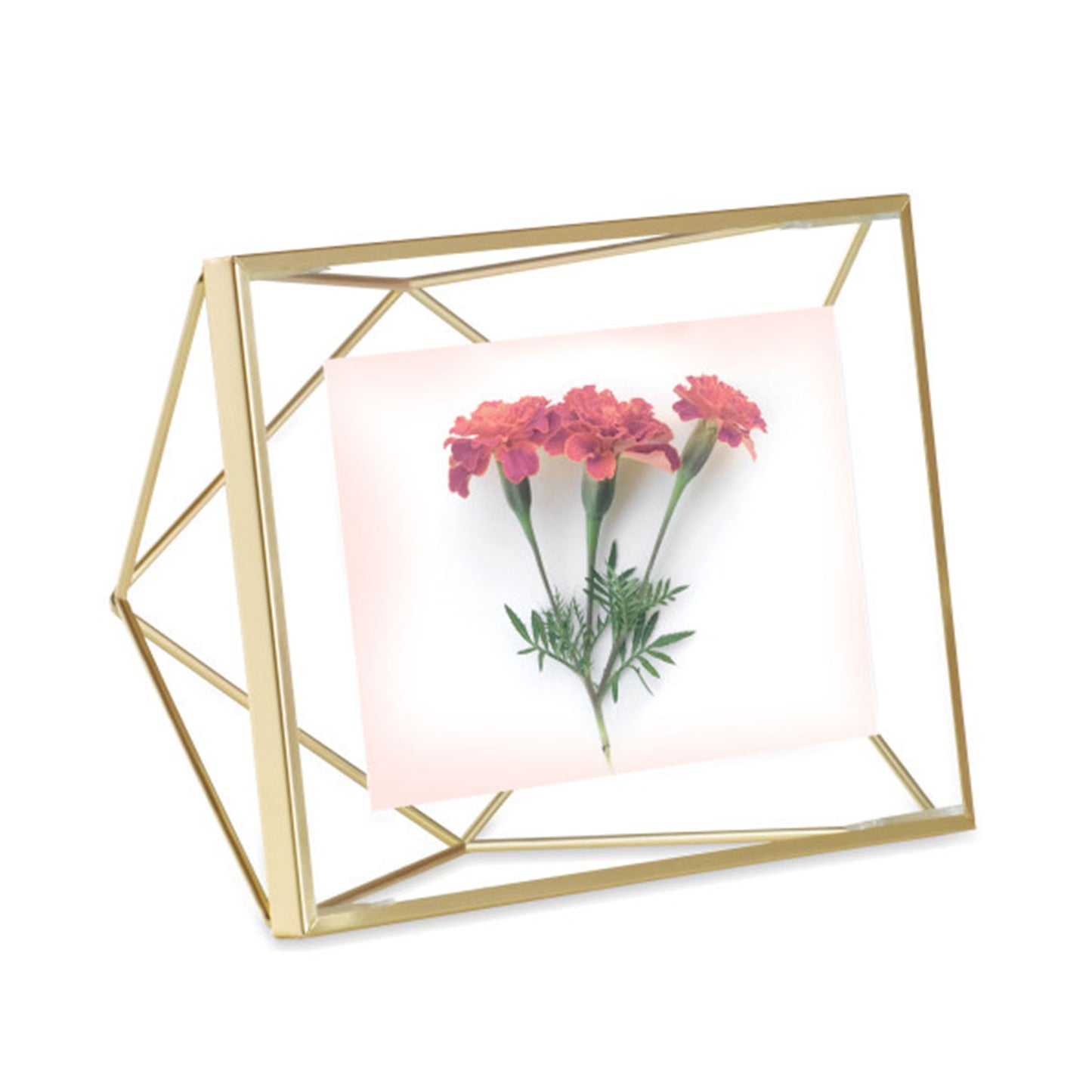 Umbra Prisma Picture Frame 4X6  Matt Brass - 313016-221