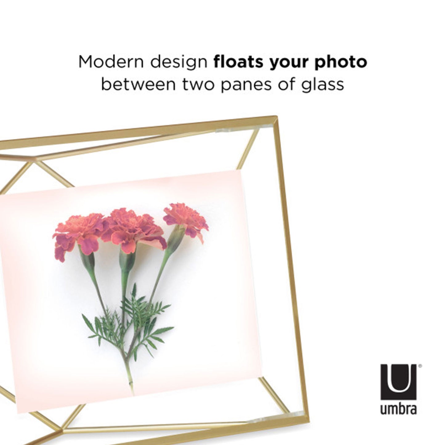 Umbra Prisma Picture Frame 4X6  Matt Brass - 313016-221