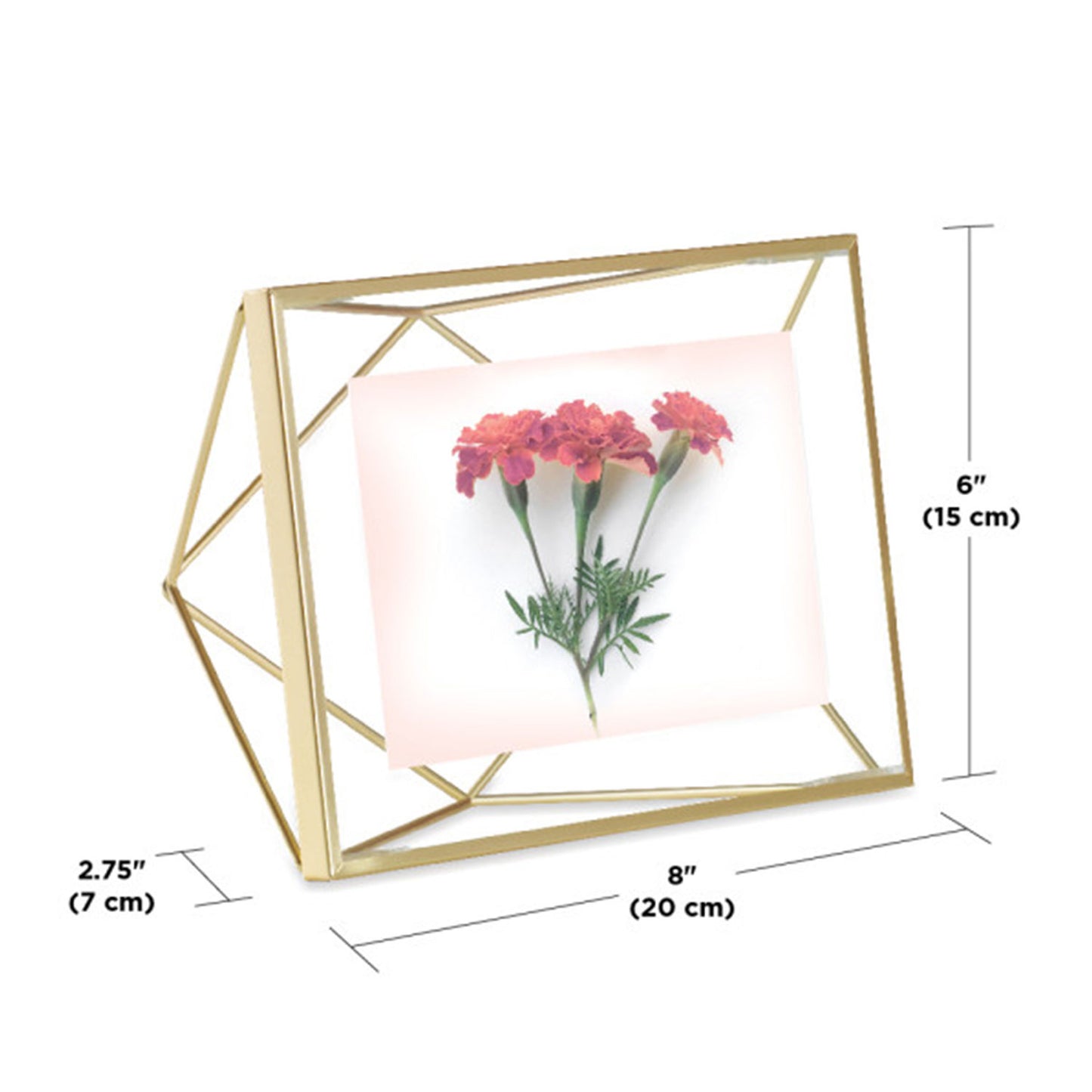 Umbra Prisma Picture Frame 4X6  Matt Brass - 313016-221