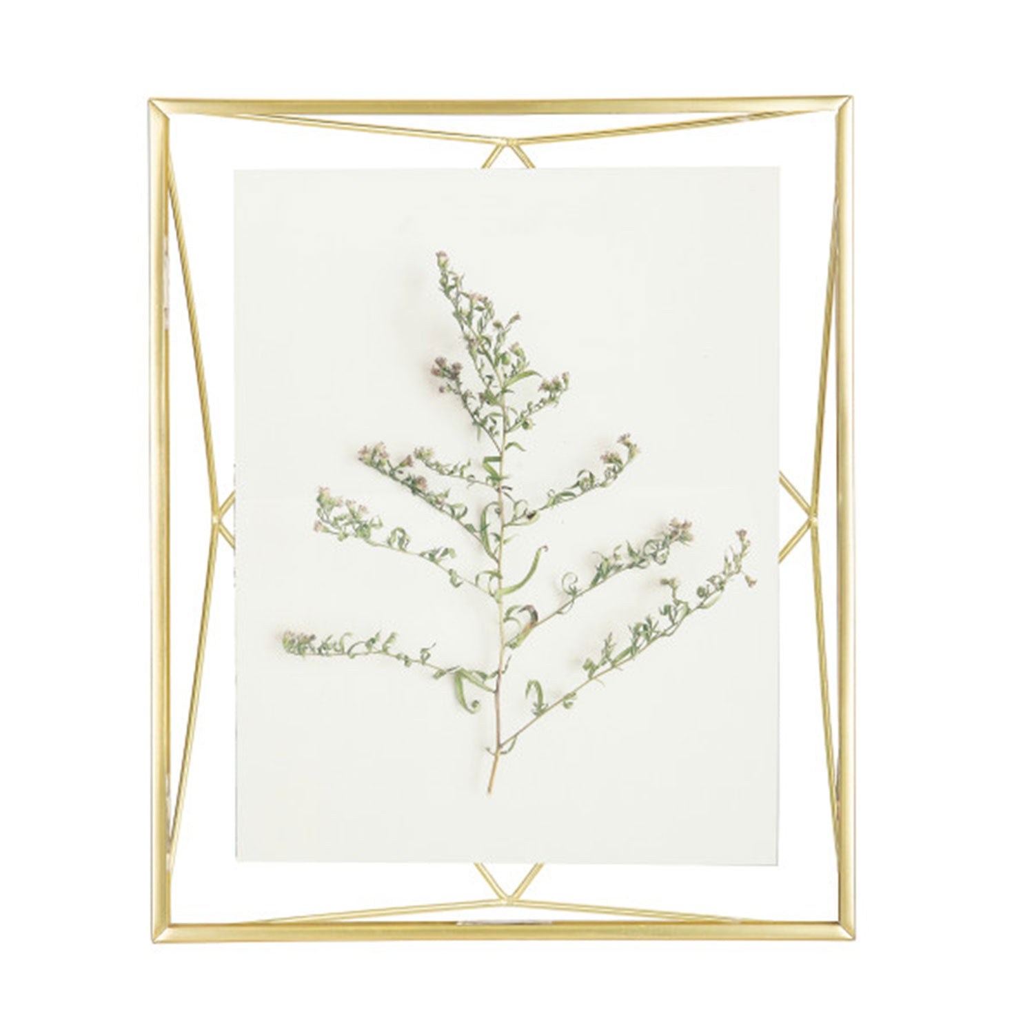 UMBRA PRISMA PICTURE FRAME 8X10 MATT BRAS - 313018-221