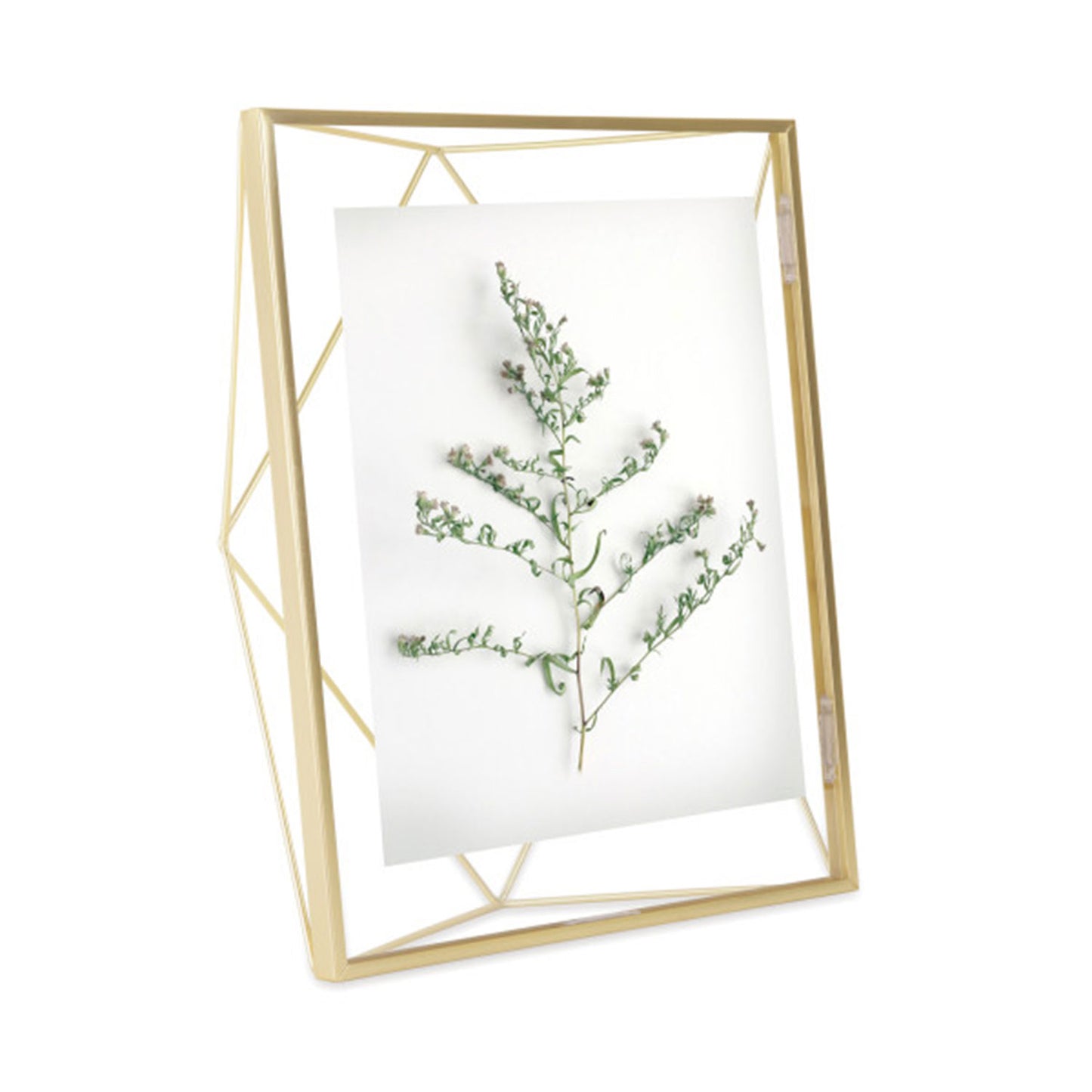 Umbra Prisma Picture Frame 8X10 Matt Bras - 313018-221