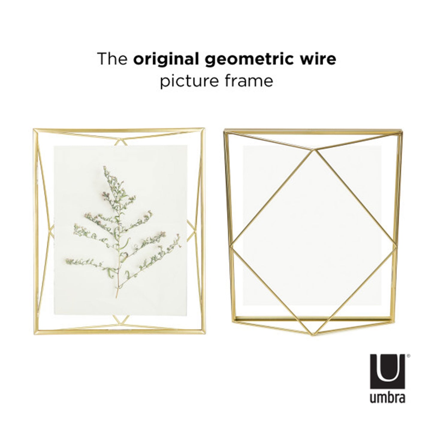 Umbra Prisma Picture Frame 8X10 Matt Bras - 313018-221