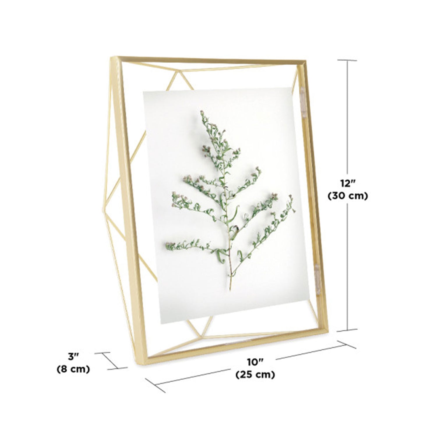 Umbra Prisma Picture Frame 8X10 Matt Bras - 313018-221