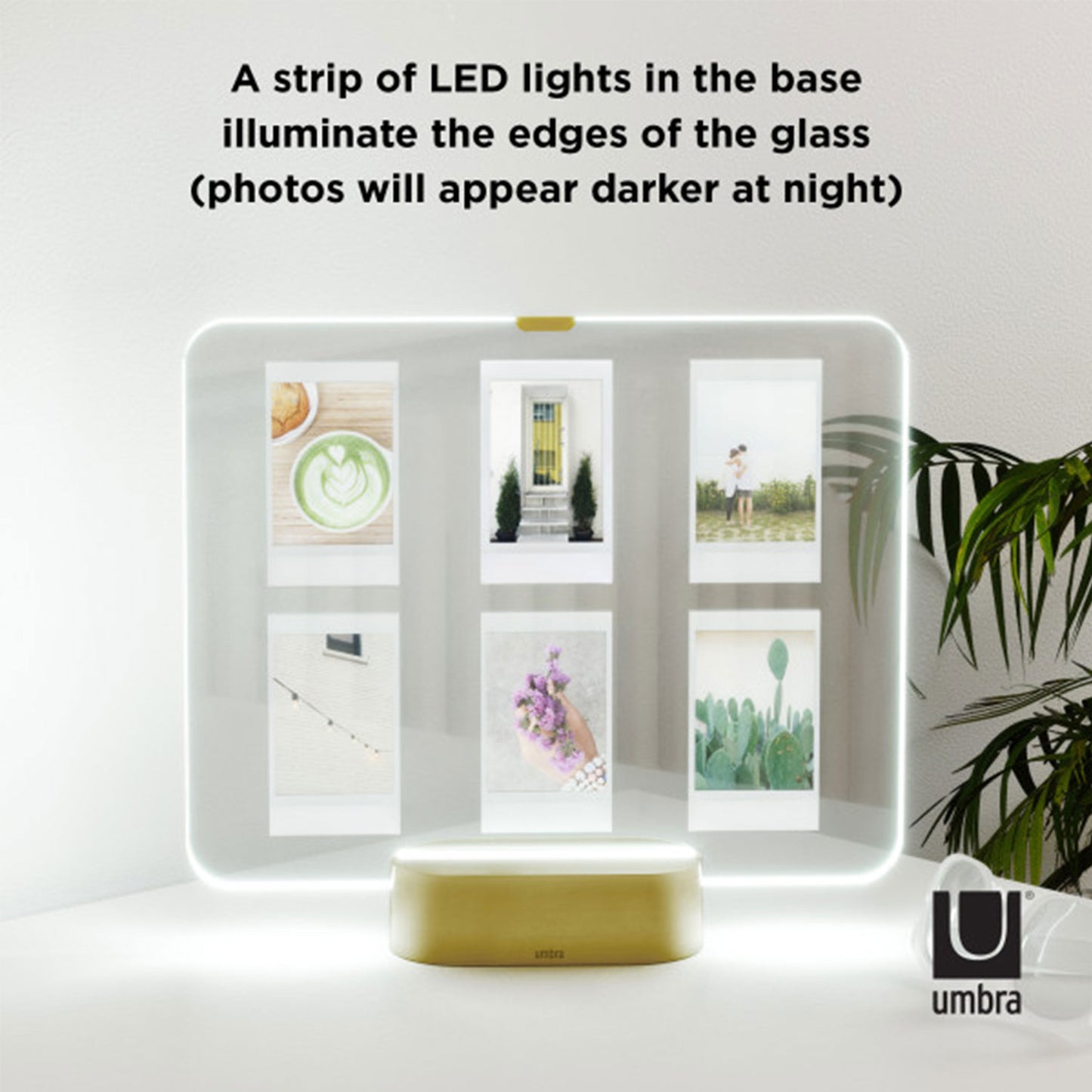 Umbra Glo Led Picture Frame 8X10 Matt Brass - 1011085-221