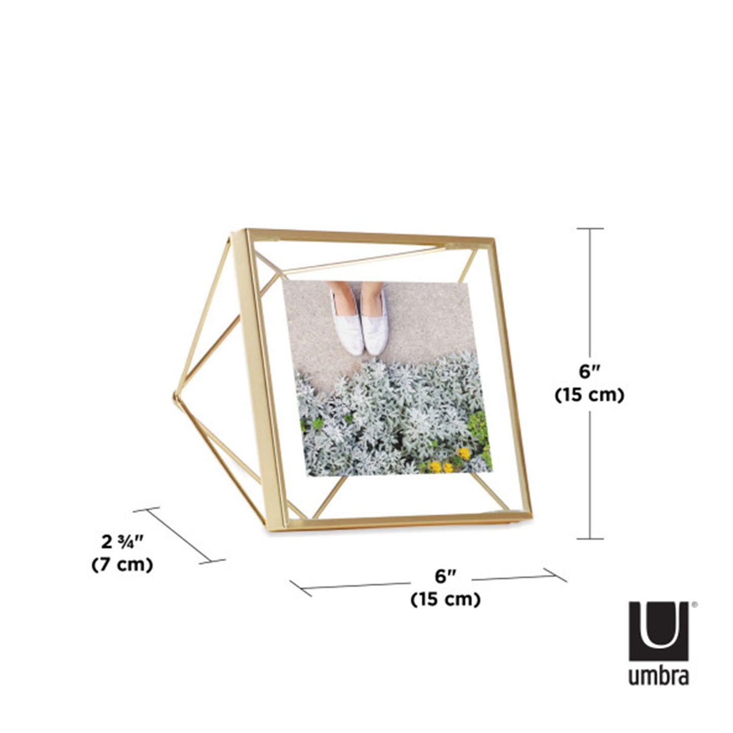 Umbra Prisma Picture Frame 4X4 Matt Brass - 313017-221