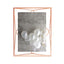 Umbra Prisma Picture Frame 5X7 Copper  - 313015-880