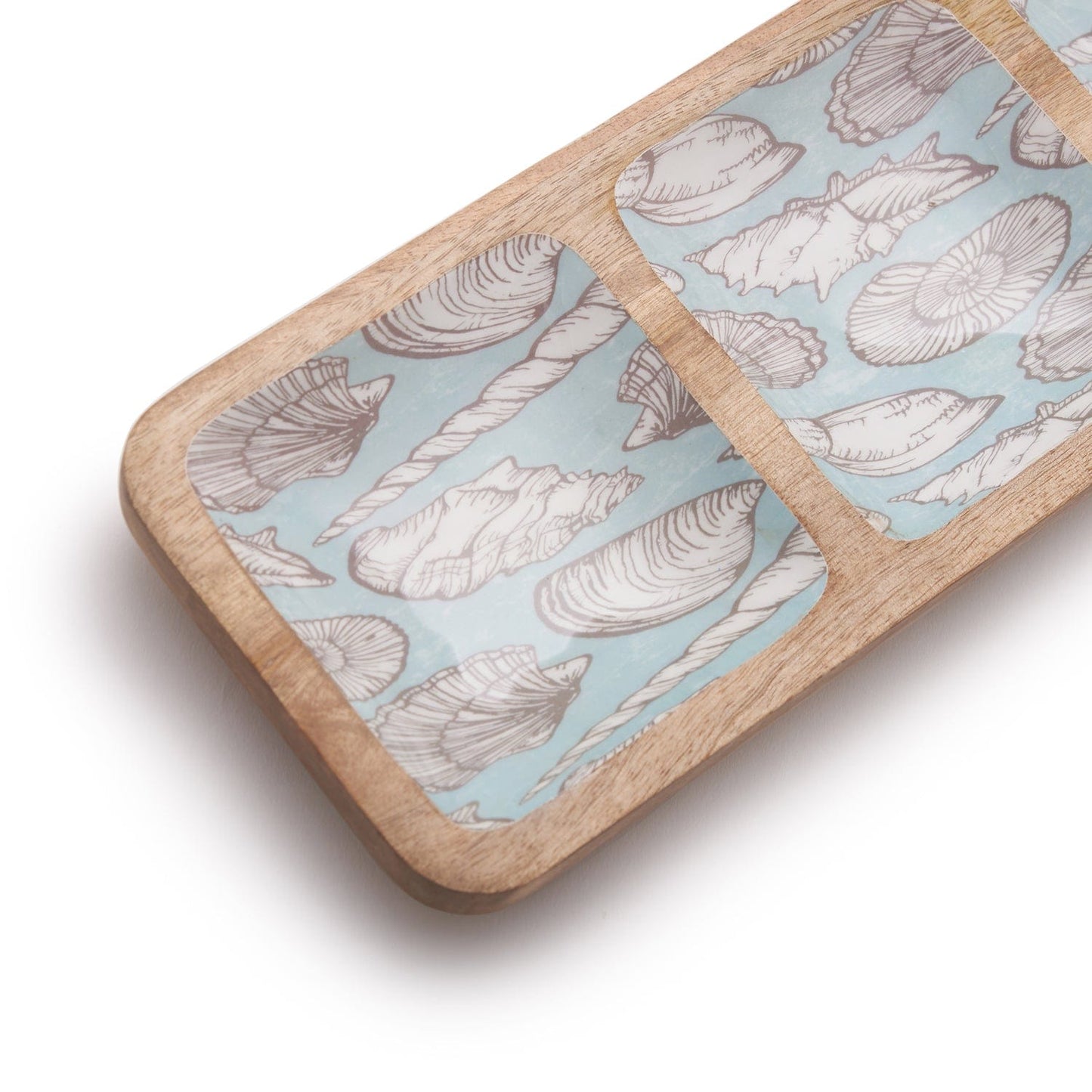 Indra Shells Dish 3 Section 15X5.5 Inches