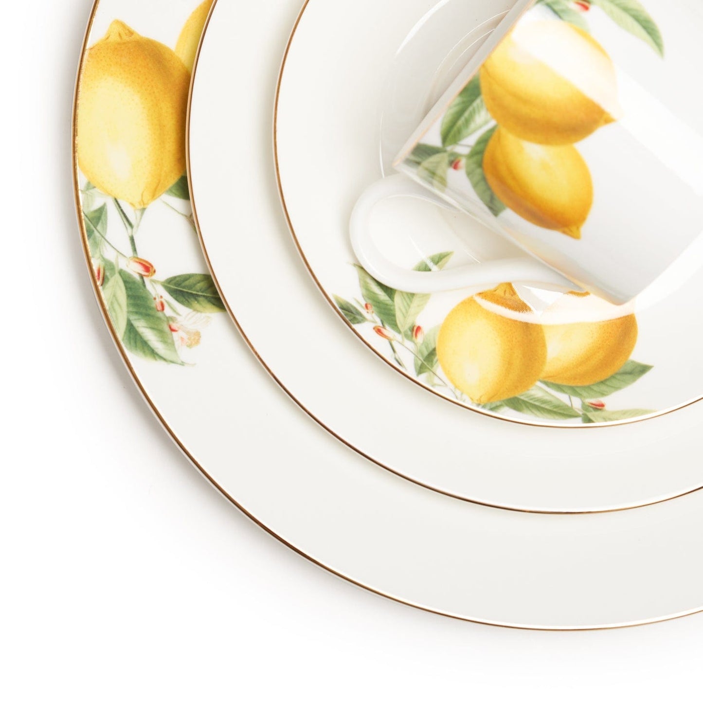 STECHCOL LEMON 85PC DINNER SET