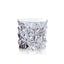 Bohemia Crystal Glacier Tumbler Set Of 6