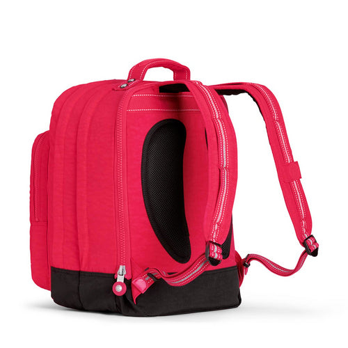 Kipling-College Up-Large Backpack (With Laptop Protection)-True Pink-06666-09F